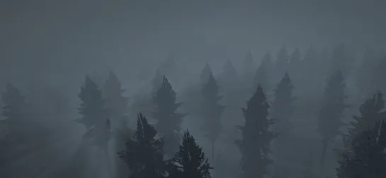El bosque oscuro, con su niebla